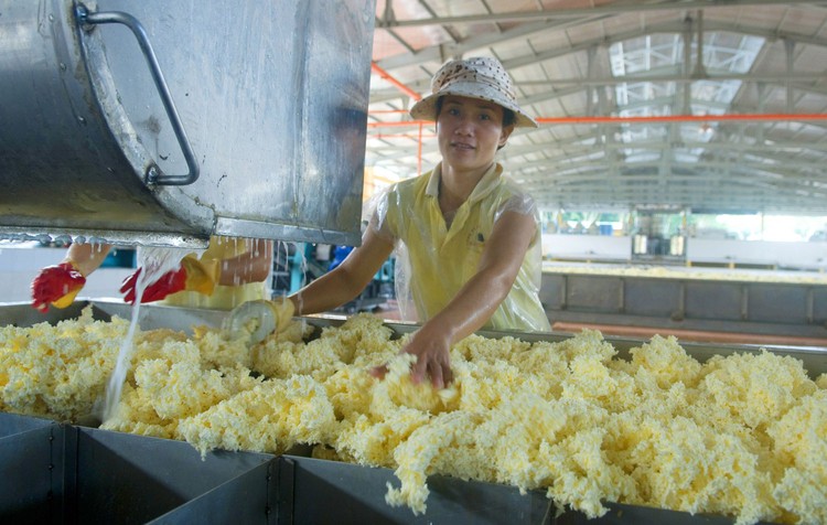 Doanh nghiệp cao su kỳ vọng cải thiện hiệu quả
